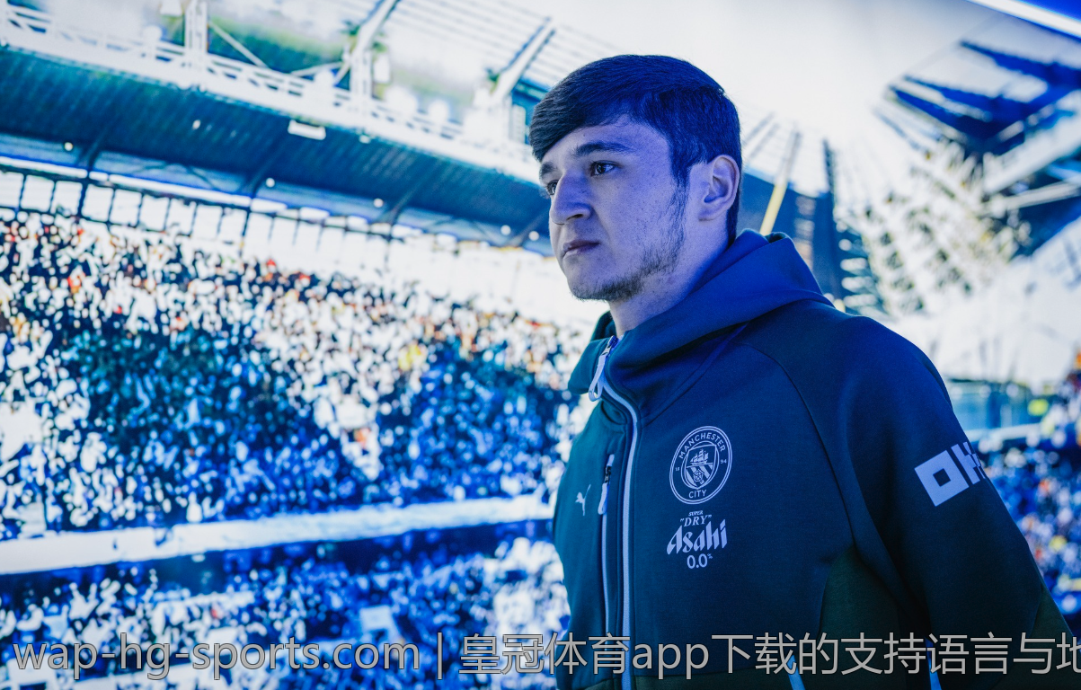 皇冠体育app下载的支持语言与地区